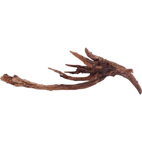 XL Driftwood Flußwurzel Nr.4941 Holz Deko Aquascaping