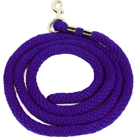 Longe pour cheval avec mousqueton, corde d'entraînement haute résistance et résistante, 2 m (6,6 pi), violette, idéale pour l'entraînement, la compétition et le travail quotidien. (1/5)