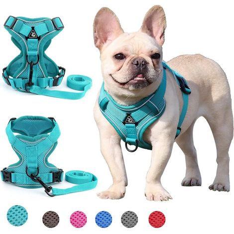 Harnais pour chien de petite et moyenne taille (vert S)-Fei Yu