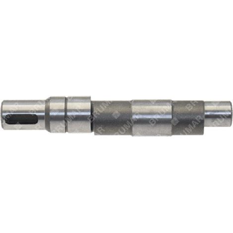 Exzenterwelle für KOMPATIBLE BERTOLINI-Pumpen - 046367
