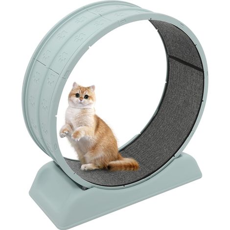 Roue d'exercice pour chat avec tapis et bâton de dentition, 79 x 34 x 84 cm, charge maximale : 10 kg, diamètre de la roue : 80 cm, pour grand chat, silencieuse, salon, balcon (bleu)