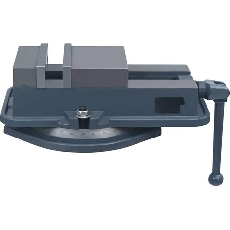 vidaXL Tornillo de banco giratorio hierro fundido 160 mm (1/2)
