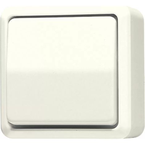Jung Wippschalter, Universal Aus-Wechsel, 10 AX 250 V , AP 600 606 A (1/2)