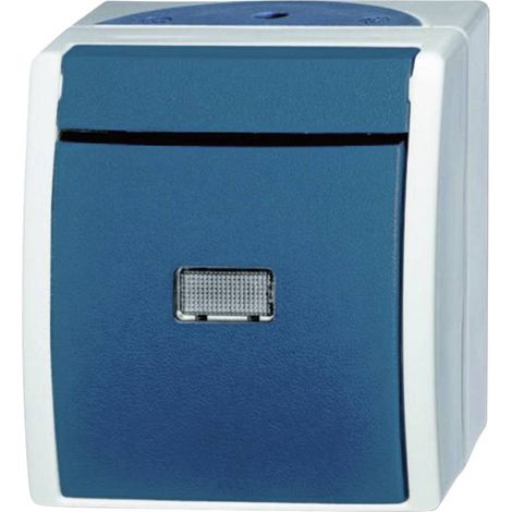 Busch-Jaeger 2601/6 WGL-53 Interruttore per ambienti umidi Commutatore Superficie Ocean Blu, Verde 1 pz. (1/4)