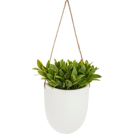 Plante artificielle en pot, suspendue, yukka en pot blanc (1/5)