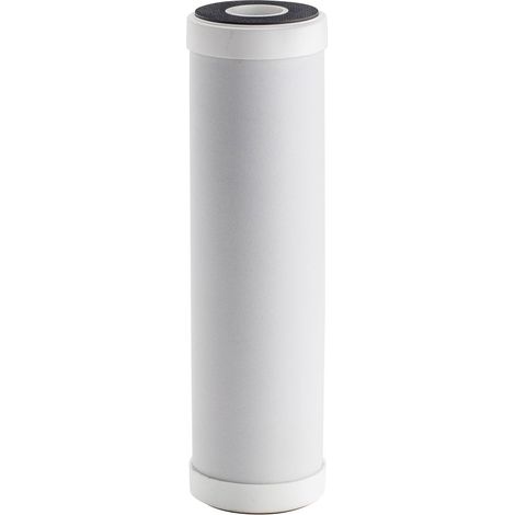 BWT Aktivkohlepatrone für Aktivkohlefilter DN 20, 13998