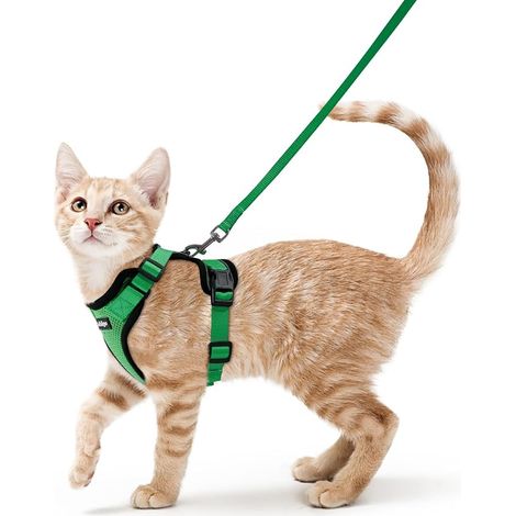 rabbitgoo Anti Escape Cat Harness with Leash Grass Green XS, Adjustable Kitten Harness for Small Dogs, Reflective Cat Leash and Bow Tie , Breathable Vest for Puppy Rabbit (1/4)