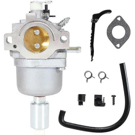 Carburateur de remplacement 792036 pour Nikki 795366 594601 695353 697216 698945 (1/5)