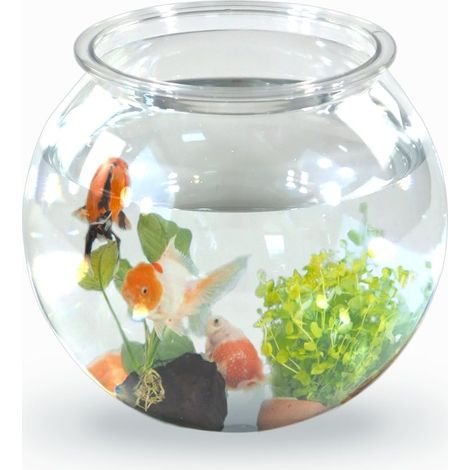 Mobiclinic® pets, Boccia per pesci, Rotondo, Nemo, 4 litri, Plastica pet eco, Design trasparente, 20x20x17, 5cm, Facile pulizia, Resistente, Ideale la decorazione domestica, Erbe acquatiche (1/5)
