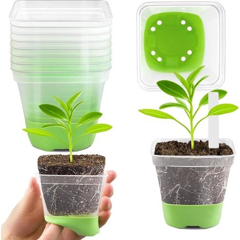 12 pots de culture transparents de 8 cm – Mini pots à plantes avec fond en silicone – Pots carrés réutilisables pour semis et plantes grasses – Verts (1/5)