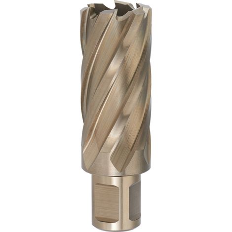 Broca de nucleo largo con accesorio Weldon diametro 15 mm Fervi F002/15L