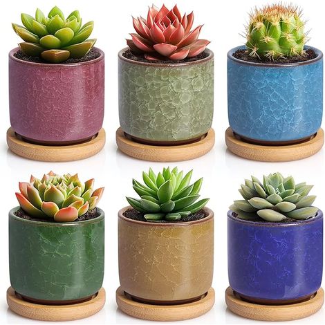 Pot De Fleur Interieur en Céramique 6,3 Cm pour Plantes Grasses, Pot De Fleur Décoratif Effet Glace, Lot De 6 Couleurs avec Soucoupes, Cache Pot Plante Interieur (sans Plantes) (1/5)