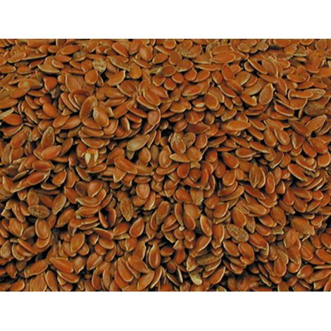 Graines de lin 20 kg