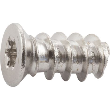 Systemschrauben Senkkopfschrauben ø 6,3 mm L 15 mm TX Stahl verzinkt (1/4)