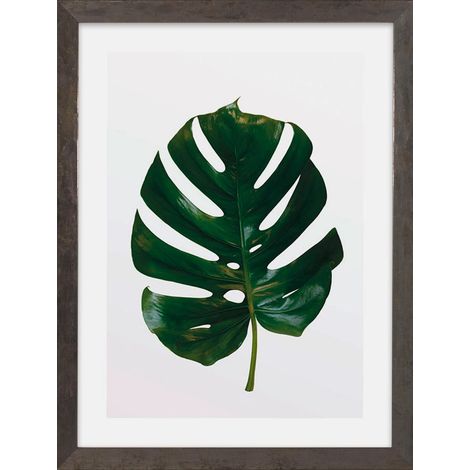 Cadre photo en bois gris pierre avec art Poster Monstera Leaf en kit Dimensions 30 x 40 cm Tableau mural décoration plante (1/2)