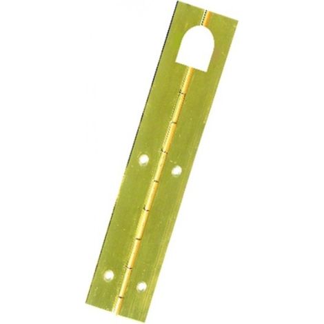 Bisagra piano 32x960mm lat micel (1/2)