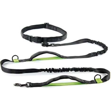 Guinzaglio Jogging in nylon con estensore elastico per cani (1/3)