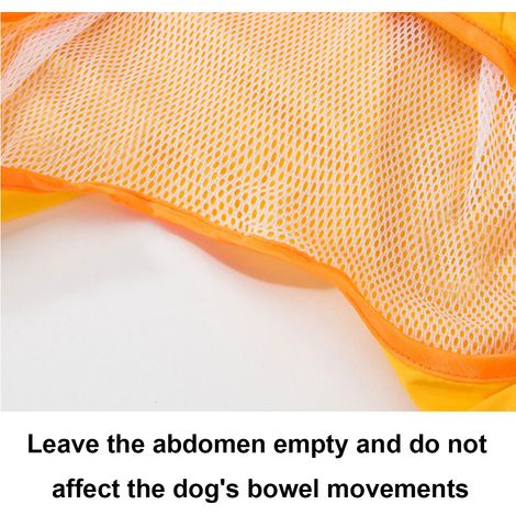1 imperméable pour chien, à capuche transparente, respirant et réfléchissant, adapté aux petits chiens et chiots (1/5)