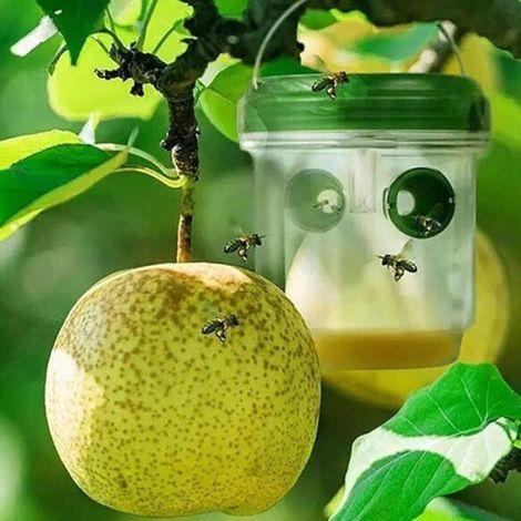 Pack de 2 Pièges à Insectes Solaire Extérieur -Moustiques et Guêpes pour Jardin et Terrasse Étiquette (1/4)