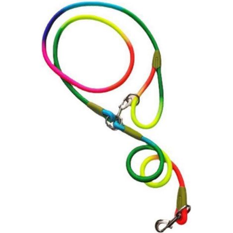 Laisse mains libres en nylon pour chien, laisse de dressage avec coutures réfléchissantes et bandoulière réglable