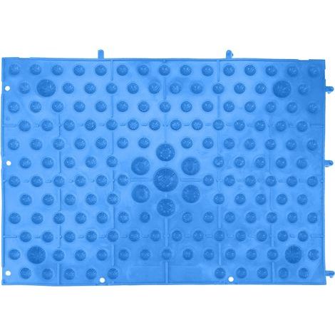 Lot pieds massage TPE multicolore tapis circulation sanguine détente tension jeu maison bleu