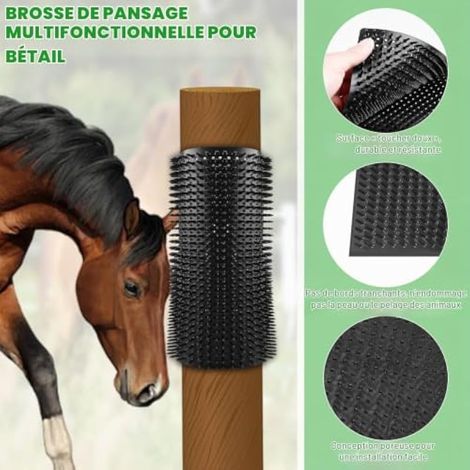 Lot de 3 brosses à gratter pour chevaux, 360 x 300 mm, avec 60 piquets, kit complet de brosses de massage pour chevaux, bovins, chèvres, moutons, noires (1/3)