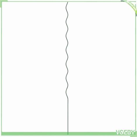 Support de plante en spirale - FAFEICY - 4107053 - Vert - Acier - 170 cm (lot de 20) (1/5)
