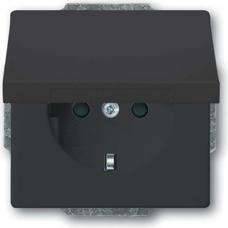 BUSCH-JAEGER 20 EUKB-81 SCHUKO STECKDOSEN-EINSATZ MIT KLAPPDECKEL, CARAT, ANTHRAZIT 2CKA002018A1517