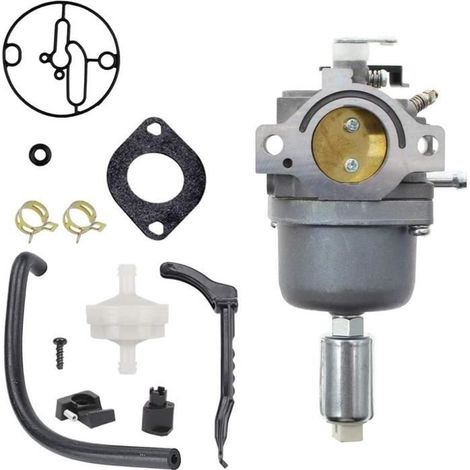 Carburateur pour Moteurs Briggs & Stratton 287707 287776 287777 310707 310777 698620 690194 791886 799727 496796 499153 695412 (1/4)