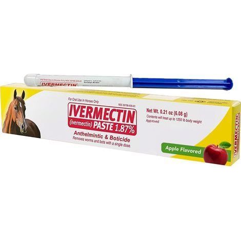 Crème vermifuge pour chevaux goût pomme – Ingrédients à base de plantes – Non irritante – Application rapide et efficace – Régule la santé intestinale (1/4)