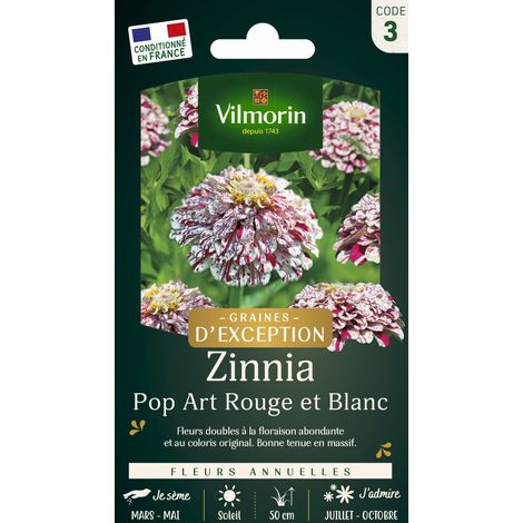 Vilmorin Zinnia Pop Art Rouge et Blanc - Graines d'Exception (1/2)