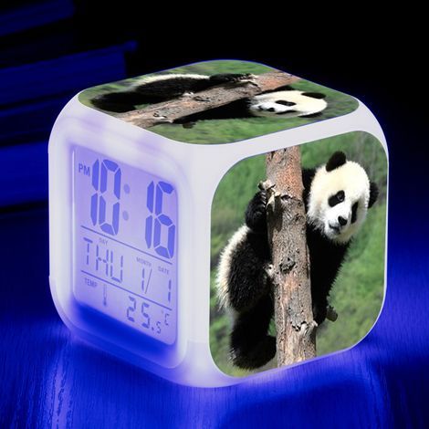 Réveil LED Panda - Pour enfant - Réveil de chevet - Carré - Écran LCD éclairé - Motif Panda (17) (1/5)