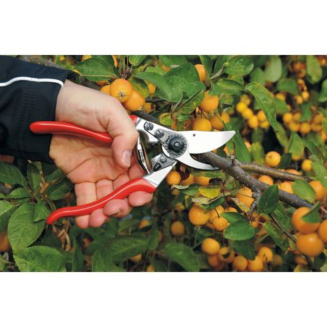 FELCO 9 Cesoie da giardino per mancini (diametro di taglio 25 mm, lunghezza 210 mm, cesoie per mani grandi, manici in alluminio, ergonomiche, con ammortizzatore) (1/5)