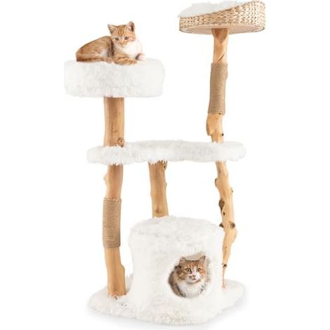 Arbre à Chat en Bois Massif avec Niche, Assise en Peluche et Plate-Forme d'assise (1/5)