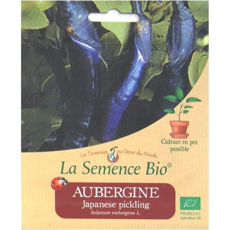 Graines Bio - Aubergine Japanese pickling 20gn - La Semence Bio