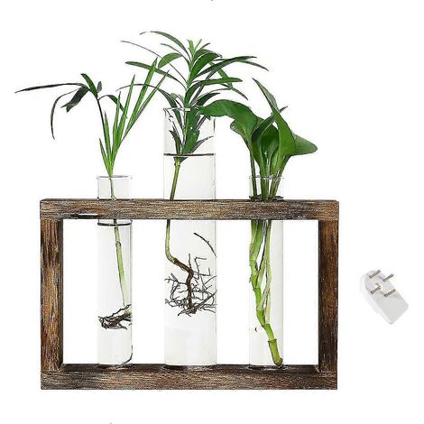 Stations de propagation des plantes, Terrariums muraux suspendus, support en bois et verre de table avec 3 propagations (1/5)