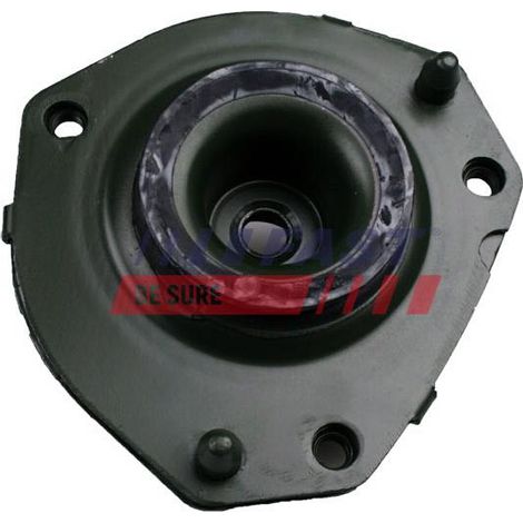 Ammortizzatore anteriore destro FT12009 a smorzamento rapido