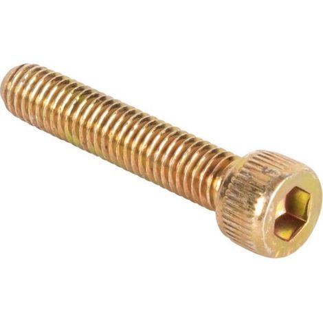 Tornillo CNH 83905941 (1/2)