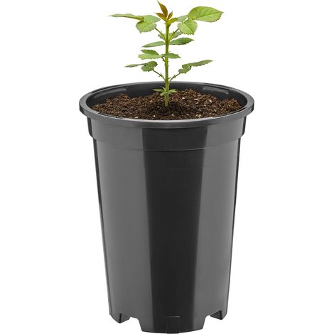 Garronda Blumentopf rund Kunststoff Ø14 x 18 cm (1,7L) mit Drainagelöchern Pflanztopf robustes PP Pflanzgefäß für Garten Gewächshaus Balkon Anzucht Innen Außenbereich Schwarz GD-0204