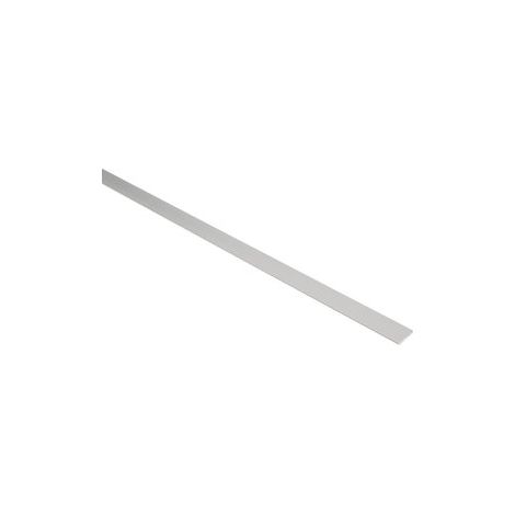 Meplat 20x2 alu anodisé argenté lg 2m