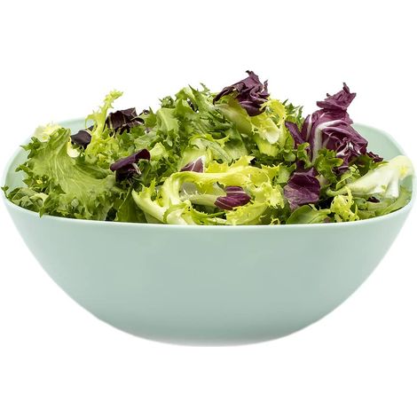 Cuenco de plastico cuadrado para comida Bol 2.7 Litros Verde claro (1/4)