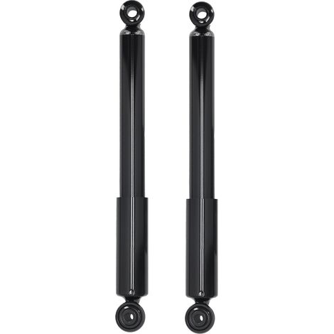 2x Ammortizzatore Posteriore for Opel Signum 2003-2008 436364 93177874 13254786 (1/5)