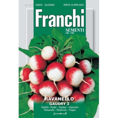 SEMI RAVANELLO GAUDRY 2 112/3 (1/2)