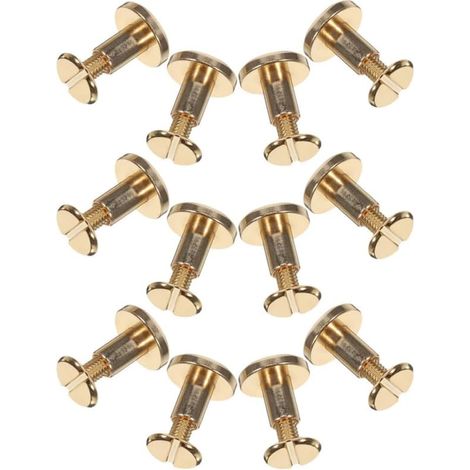 Kit de 12 vis Chicago métalliques à tête plate et rivets. (1/5)