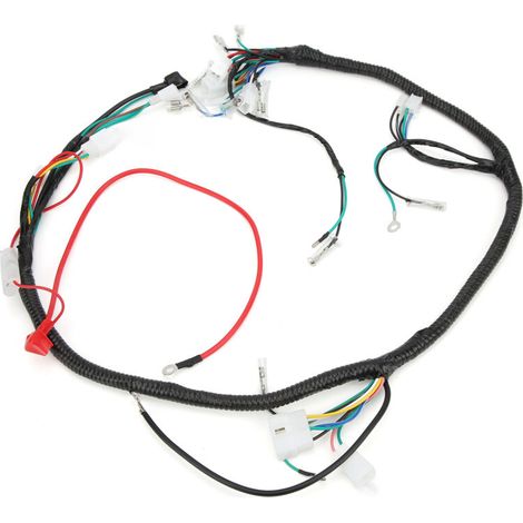 Cablaggio motore completo con unità CDI e porta solenoide per GY6 125cc 150cc 200cc 250cc Quad Bike ATV Go Kart - Crezuo