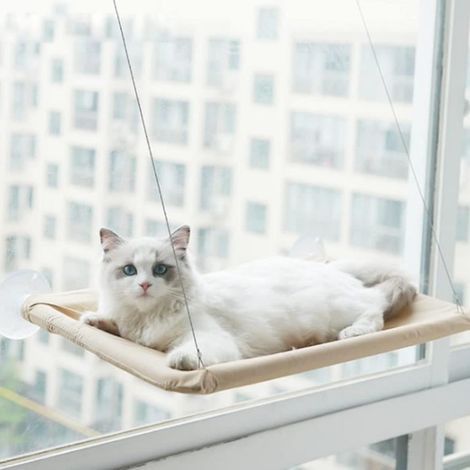 Hamac de Fenêtre Chat, Chaise Longue de Fenêtre pour Chat, Chat de Rebord de Fenêtre Transparent, Capacité de Charge maximale 20KG (1/4)