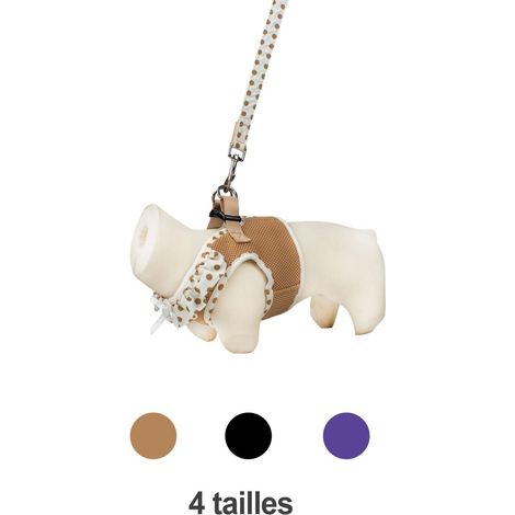Harnais air mesh et laisse pois Beige Taille : XS