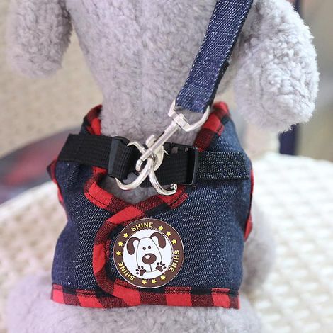 Harnais de cowboy pour petit chien avec laisse pour chiot Chihuahua (1/5)