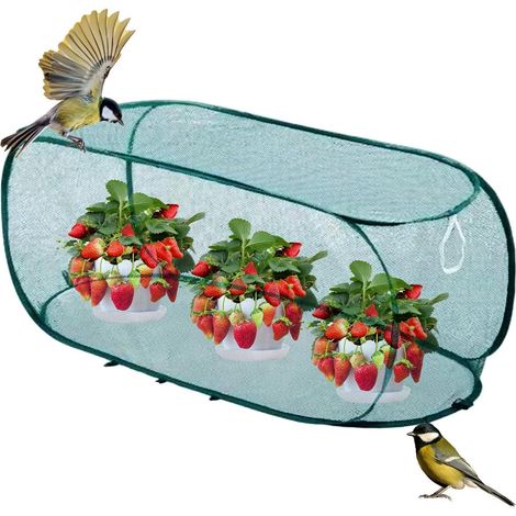Filet de protection pour filet de jardin, moustiquaire, avec cadre en fil d'acier, contre la poussière, les moustiques, les oiseaux pour légumes, fruits, fleurs, tomates (1/5)