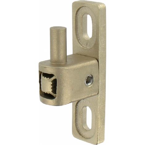 Gond de portail MULTIFIX T à axe réglable de 35 à 60 mm diamètre pivot 12 mm TIRARD NA619001 (1/3)